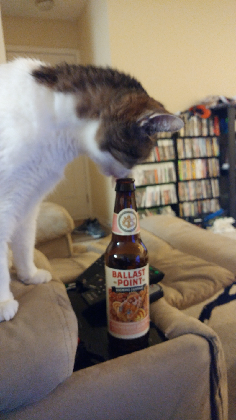 Ballast Point Grapefruit Sculpin IPA. Tasted no hint of grapefruit. Still mildly hoppy and refreshing. Getting sleepy. May need to consider a 12 step program for the furball.